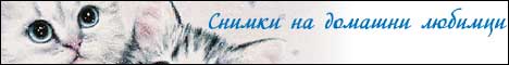 Най-красивите домашни любимци!